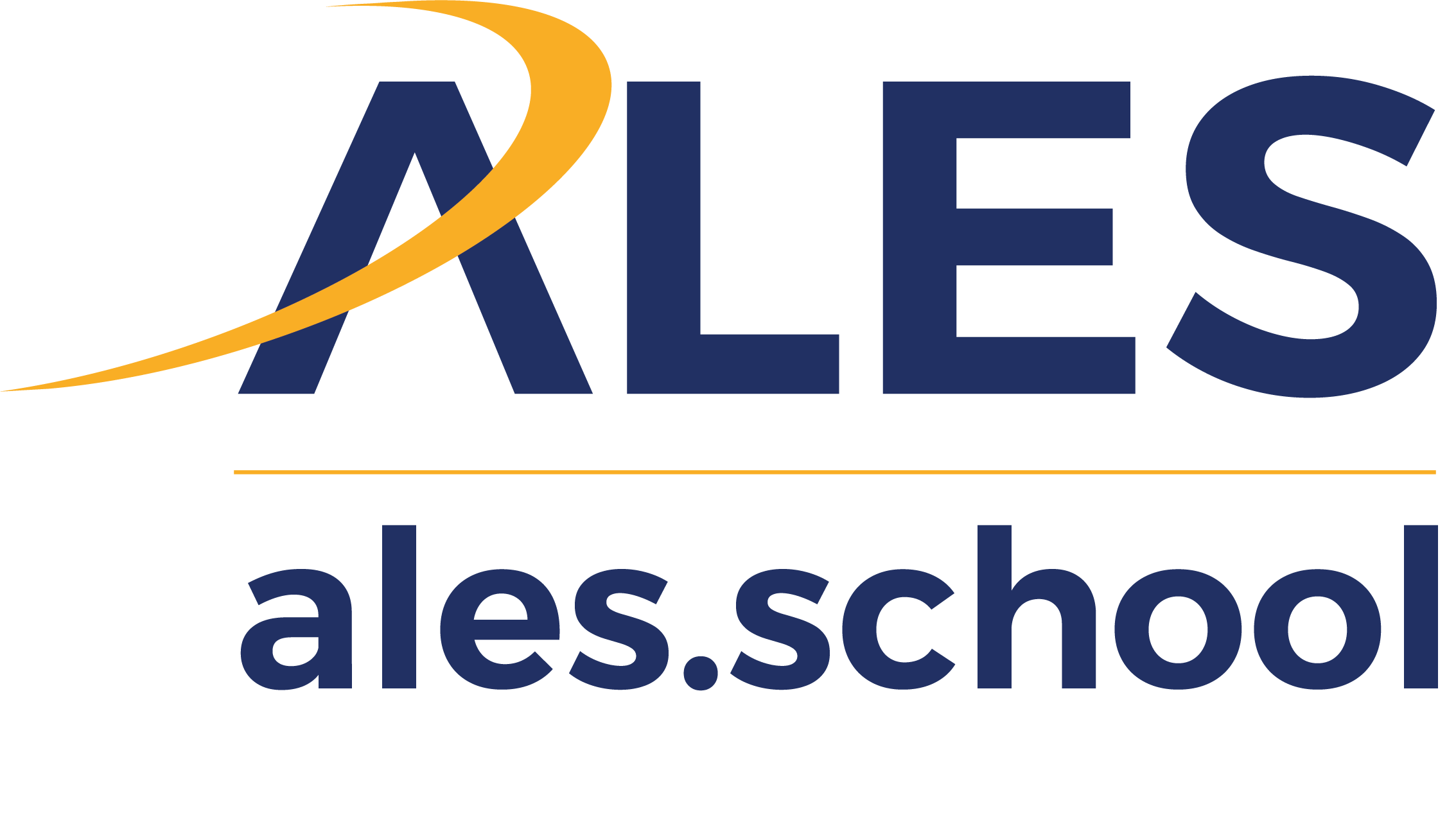 Electronic School